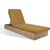 SAFAVIEH Outdoor Couture Collection Vincent Dark Brown Solid Wood/Beige Cushion Chaise Lounge Chair with Storage (CPT1043A)(Natural/Brown)