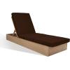 SAFAVIEH Outdoor Couture Collection Vincent Dark Brown Solid Wood/Beige Cushion Chaise Lounge Chair with Storage (CPT1043A)(Natural/Dark Brown)
