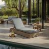 SAFAVIEH Outdoor Couture Collection Vincent Dark Brown Solid Wood/Beige Cushion Chaise Lounge Chair with Storage (CPT1043A)(Natural/Dark Grey)