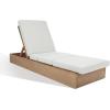 SAFAVIEH Outdoor Couture Collection Vincent Dark Brown Solid Wood/Beige Cushion Chaise Lounge Chair with Storage (CPT1043A)(Natural/White)