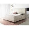 SAFAVIEH Couture Collection Tsarina Dark Seafoam Velvet Tufted Queen Size Bed(Cream)
