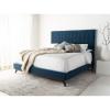 SAFAVIEH Couture Collection Tsarina Dark Seafoam Velvet Tufted Queen Size Bed(Dusty Blue)