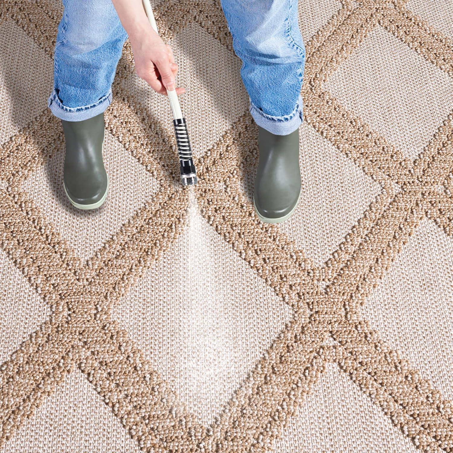 image:imageMartha Stewart x SAFAVIEH Outdoor Area Rug Collection 9 x 12 Beige amp Brown Weather Resistant amp Washable Ideal for Patio Backyard Mudroom Deck Dining Space MSRO226BBeigeBrown