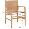 SAFAVIEH Couture Collection Cassaphina Tan Leather & Natural Solid Wood Arm Chair (Fully Assembled)(Tan/Natural)