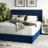 SAFAVIEH Couture Collection Chester Navy Tufted Velvet Queen Size Bed