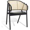 SAFAVIEH Couture Collection Emmy Tropical Coastal Natural Rattan Back Dining Chair(Black/Natural)