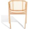 SAFAVIEH Couture Collection Emmy Tropical Coastal Natural Rattan Back Dining Chair(Natural)