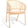 SAFAVIEH Couture Collection Emmy Tropical Coastal Natural Rattan Back Dining Chair(Natural)