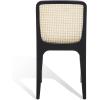 SAFAVIEH Couture Collection Frank Tropical Coastal Black/Natural Rattan Dining Chair Set of 2(Black/Natural)