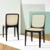 SAFAVIEH Couture Collection Frank Tropical Coastal Black/Natural Rattan Dining Chair Set of 2(Black/Natural)