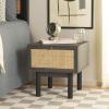SAFAVIEH Home Collection Aino Oak 1-Drawer Nightstand(Distressed Black/Natural)