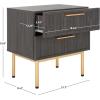 SAFAVIEH Home Collection Axelle Oak/Black 2-Drawer Nightstand(Distressed Black/Gold)