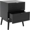SAFAVIEH Home Collection Baisley Black 2-Drawer Rattan Nightstand(Black)