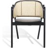 SAFAVIEH Couture Collection Emmy Tropical Coastal Natural Rattan Back Dining Chair(Black/Natural)