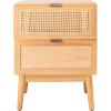 SAFAVIEH Home Collection Baisley Black 2-Drawer Rattan Nightstand(Natural)