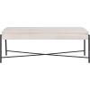 Safavieh Home Kara 50-inch Light Beige and Black Cushioned X-Bench(Light Beige / Black)