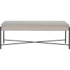Safavieh Home Kara 50-inch Light Beige and Black Cushioned X-Bench(Light Grey / Black)