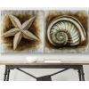 Safavieh Art Collection Sea Shell Paintings