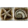 Safavieh Art Collection Sea Shell Paintings
