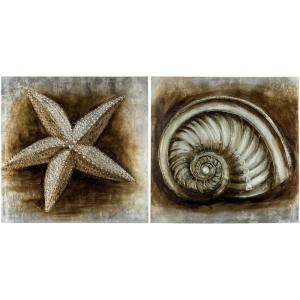 Safavieh Art Collection Sea Shell Paintings