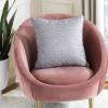 SAFAVIEH Home Caitria Blue and Tan 20-inch Decorative Pillow Pillow