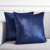 SAFAVIEH Home Collection Davina Purple Viscose 18-inch Square Set of 2 with Insert Pillow, 18″ x 18″(Navy)
