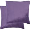 SAFAVIEH Home Collection Davina Purple Viscose 18-inch Square Set of 2 with Insert Pillow, 18″ x 18″(Purple)