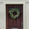 SAFAVIEH Home Collection Faux Artificial 22-inch Eucalyptus & Fennel Decorative Wreath