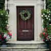 SAFAVIEH Home Collection Faux Artificial 22-inch Eucalyptus & Fennel Decorative Wreath