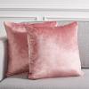 SAFAVIEH Home Collection Jovanni Purple Viscose 18-inch Square Pillow Set of 2 with Insert(Pink)