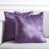 SAFAVIEH Home Collection Jovanni Purple Viscose 18-inch Square Pillow Set of 2 with Insert(Purple)