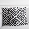 SAFAVIEH Home Collection PLS403 Pillow, Black/Ivory 2 Count