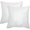 SAFAVIEH Home Collection Tabytha Modern Black/Ivory Viscose 18-inch Square Set of 2 with Insert Pillow, 18″ x 18″(Black/Ivory)