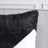 SAFAVIEH Home Collection Tabytha Modern Black/Ivory Viscose 18-inch Square Set of 2 with Insert Pillow, 18″ x 18″(Black/Ivory)