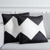 SAFAVIEH Home Collection Tabytha Modern Black/Ivory Viscose 18-inch Square Set of 2 with Insert Pillow, 18″ x 18″(Black/Ivory)