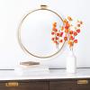 Safavieh Home Collection Donzel Acrylic Mirror, Clear