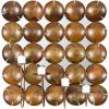 Safavieh Wall Art Collection Coco Shells Candle Holder Wall Sconce