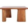 SAFAVIEH Couture Collection Martinelli Natural Solid Wood Coffee Table(Natural)