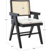 SAFAVIEH Couture Collection Colette Tropical Coastal Natural Solid Wood Rattan Armchair(Black/Natural)