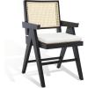 SAFAVIEH Couture Collection Colette Tropical Coastal Natural Solid Wood Rattan Armchair(Black/Natural)