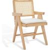 SAFAVIEH Couture Collection Colette Tropical Coastal Natural Solid Wood Rattan Armchair(Natural)