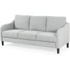 SAFAVIEH Couture Furniture Collection Edalynn Modern Cream 3-Seater Sofa(Light Grey)