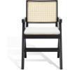 SAFAVIEH Couture Collection Colette Tropical Coastal Natural Solid Wood Rattan Armchair(Black/Natural)