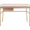 SAFAVIEH Couture Collection Regis Walnut/Bronze Office Computer Writing Desk