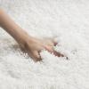 SAFAVIEH Laguna Shag Collection Area Rug – 8′ x 10′, Sand, Solid Design, Non-Shedding & Easy Care, 2-inch Thick Ideal for High Traffic Areas in Living Room, Bedroom (SGL303C)(White)