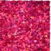 SAFAVIEH Rio Shag Collection Area Rug – 5′ x 8′, Green & Multi, Handmade Decorative, 3.5-inch Thick Ideal for High Traffic Areas in Living Room, Bedroom (SG951A)(Fuchsia/Multi)
