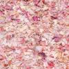 SAFAVIEH Rio Shag Collection Area Rug – 5′ x 8′, Green & Multi, Handmade Decorative, 3.5-inch Thick Ideal for High Traffic Areas in Living Room, Bedroom (SG951A)(Ivory/Pink)