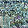 SAFAVIEH Rio Shag Collection Area Rug – 5′ x 8′, Green & Multi, Handmade Decorative, 3.5-inch Thick Ideal for High Traffic Areas in Living Room, Bedroom (SG951A)(Blue/Multi)