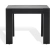 SAFAVIEH Couture Collection Nikole Natural Brown Rectangle Accent Table(Black)