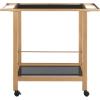 Safavieh Home Collection Gaelle Matte Gold/Black 2-Tier Bar Cart with Handle(Matte Gold/Black)